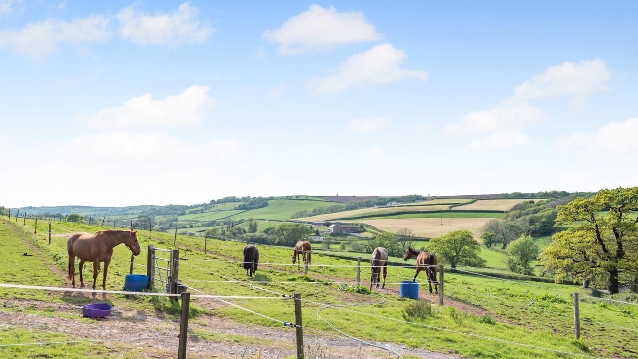 Photo of Others in Kidwelly