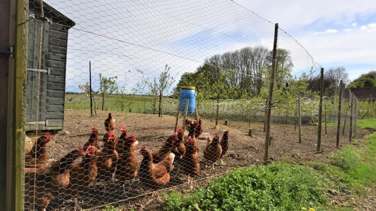Photo of Others in Egerton