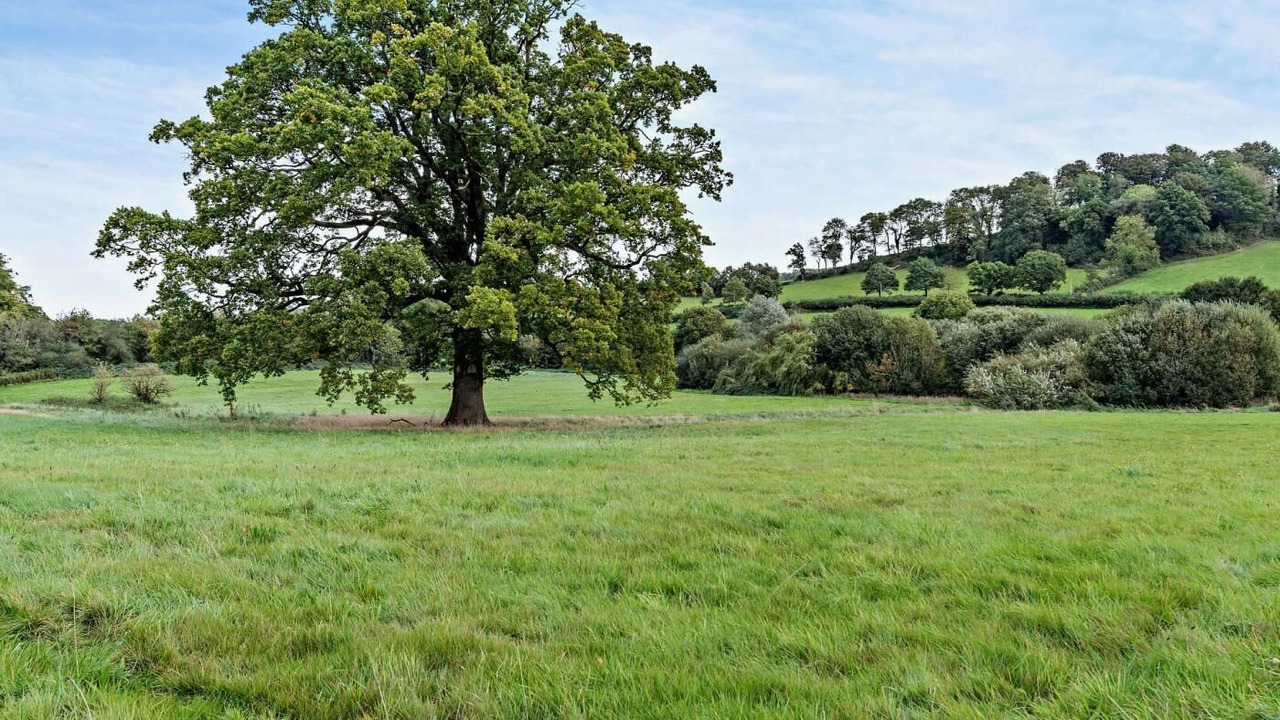 Photo of Others in Llanvair Kilgeddin
