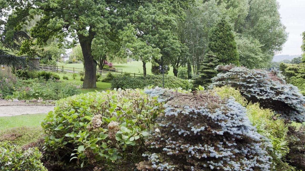 Photo of Outdoor in Chapeltown