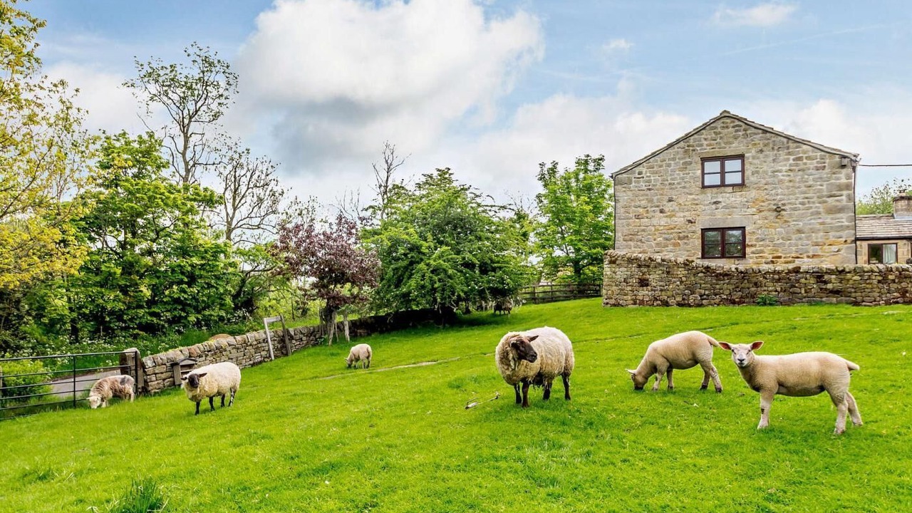 Photo of Outdoor in Chapeltown