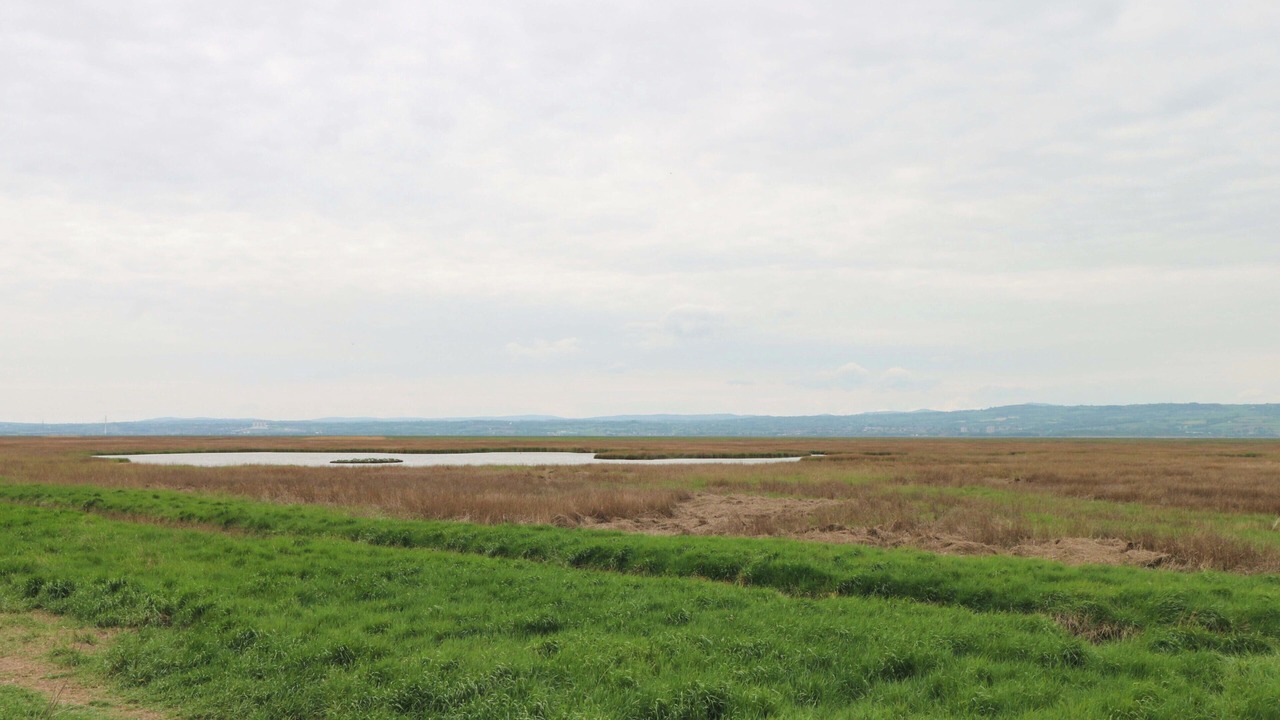 Photo of Others in Parkgate
