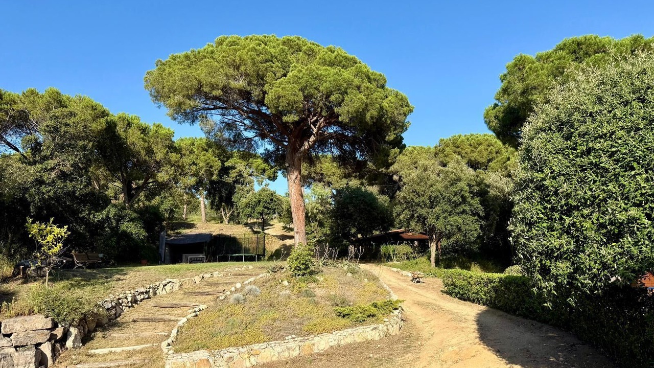 Photo of Others in Sant Pol De Mar