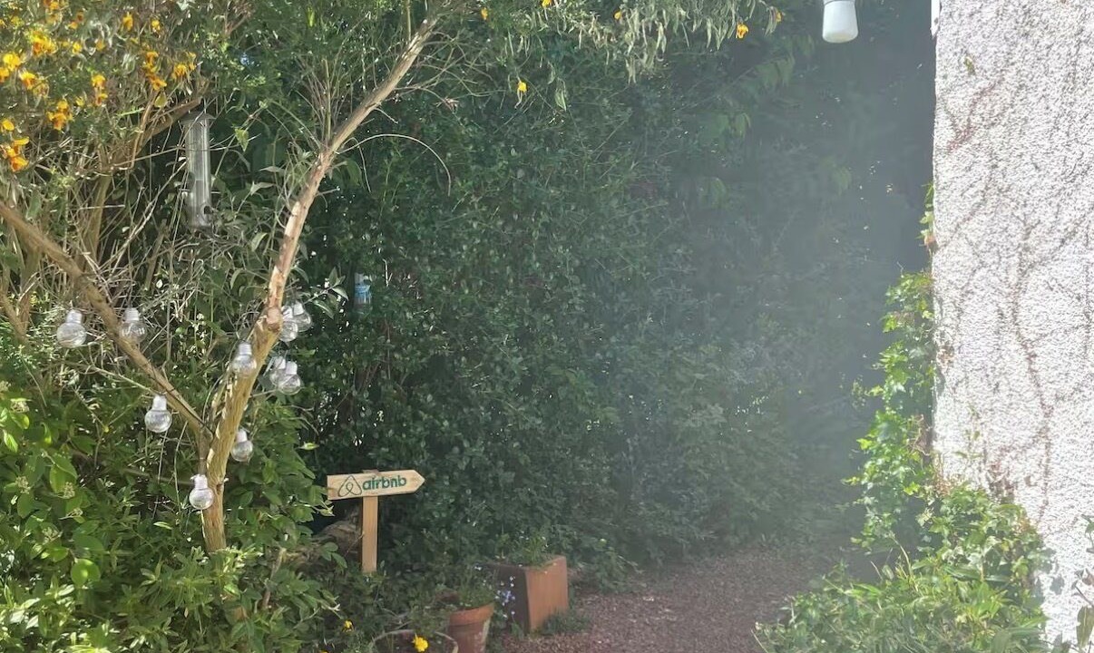 Photo of Outdoor in Ellemford