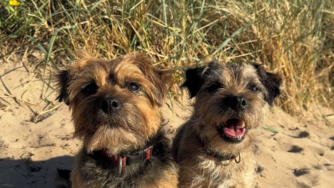 Photo of Others in Troon