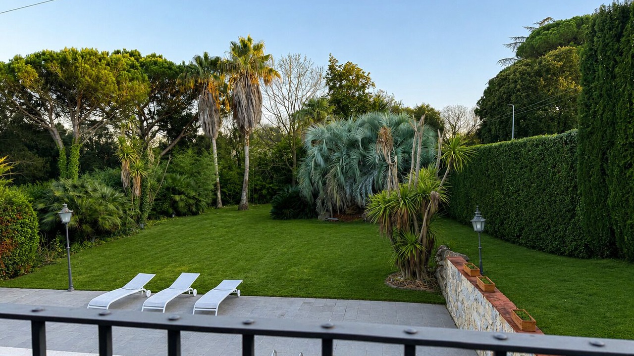 Photo of Outdoor in Palau