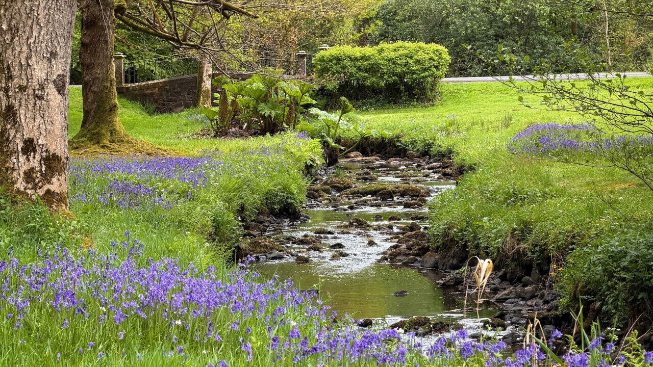 Photo of Outdoor in Dalry