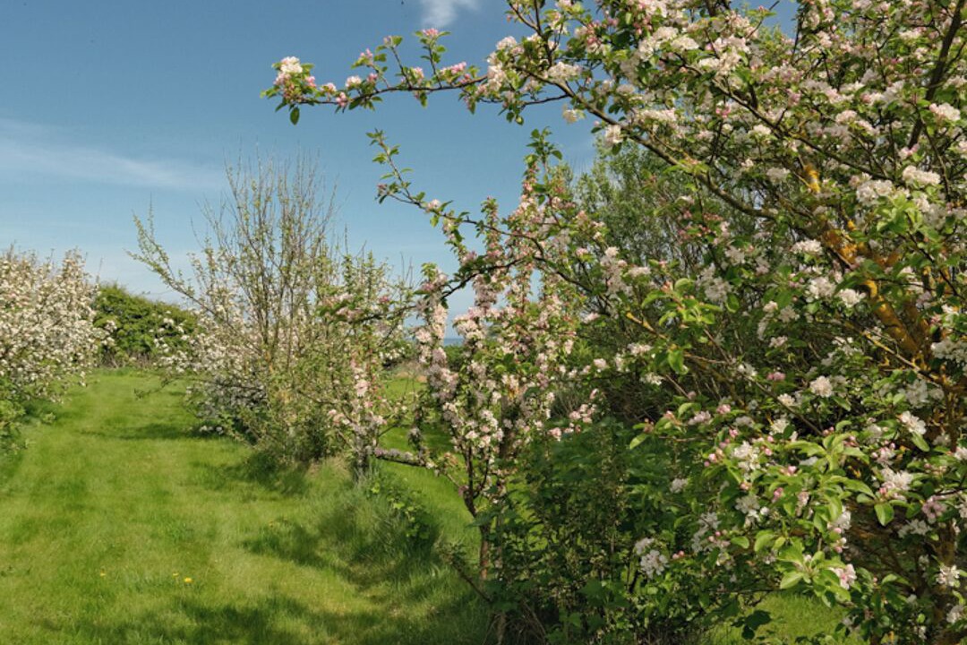 Photo of Outdoor in Tain