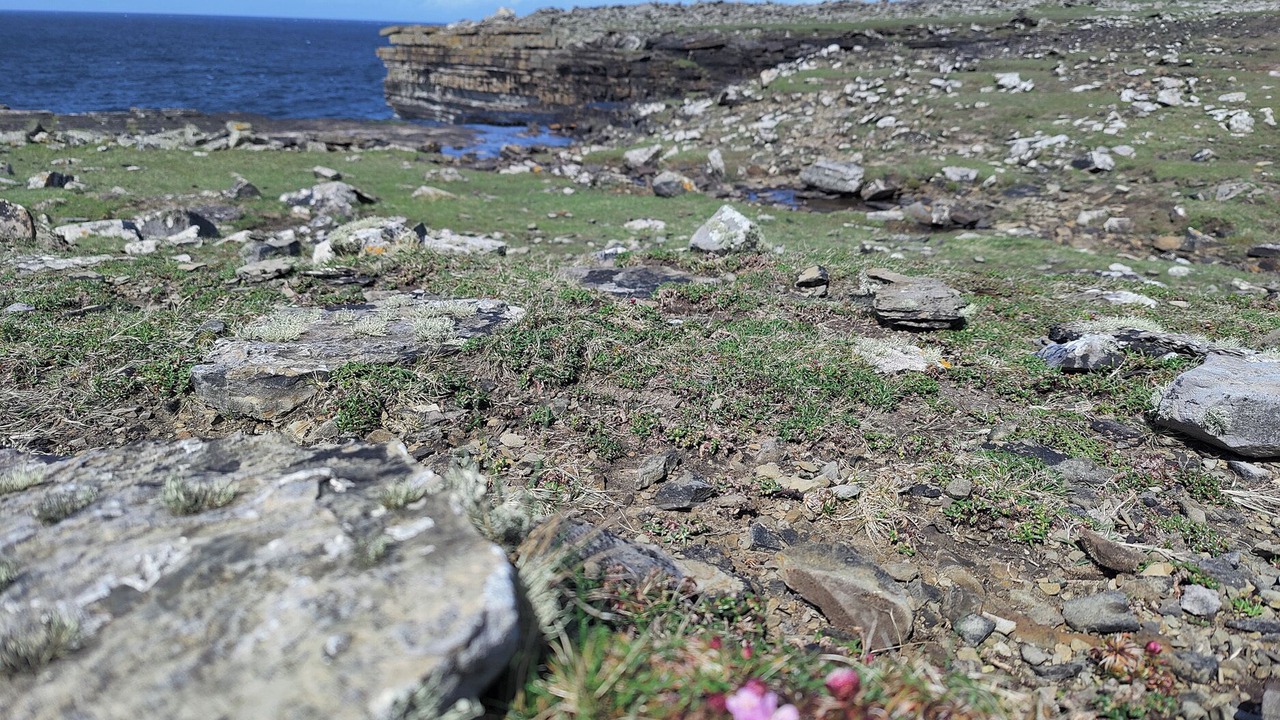 Photo of Others in Rousay