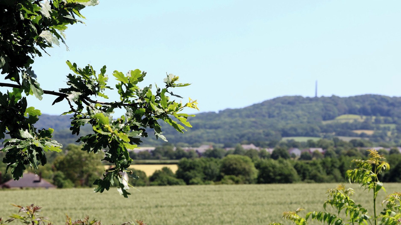 Photo of Others in Saint Blazey
