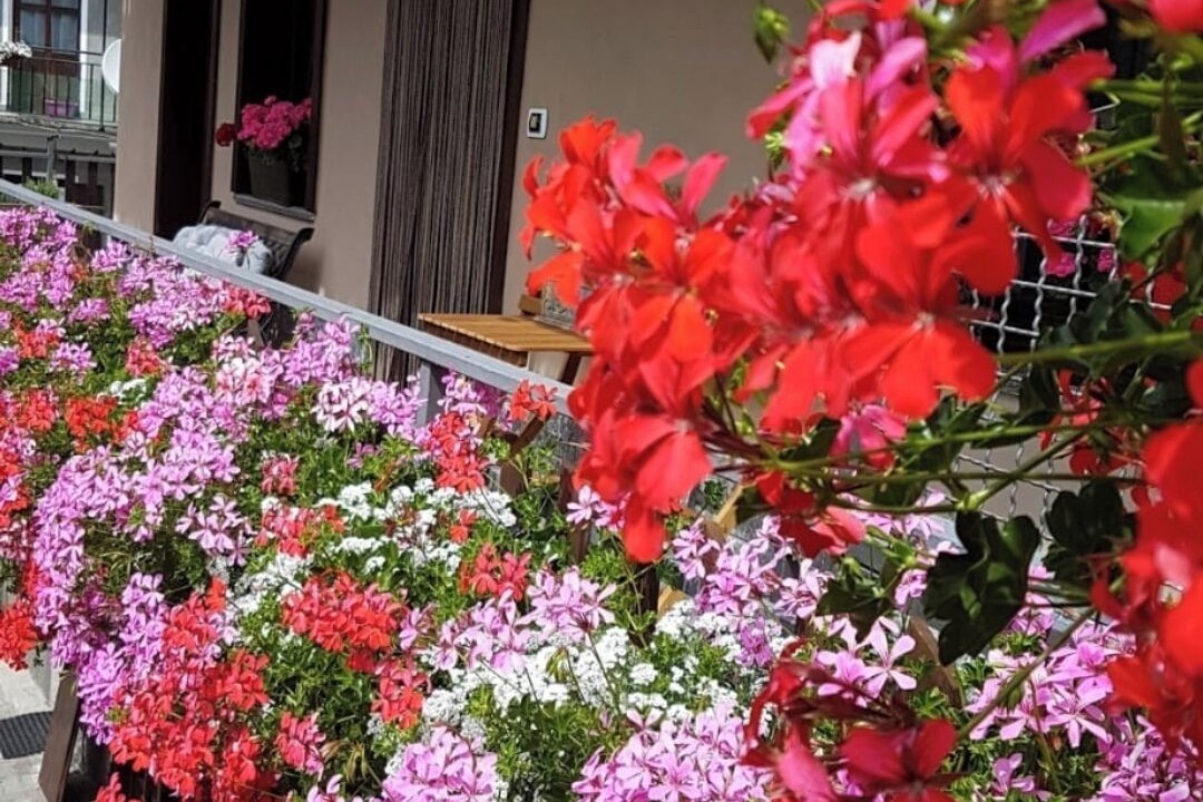 Photo of Outdoor in Gignod