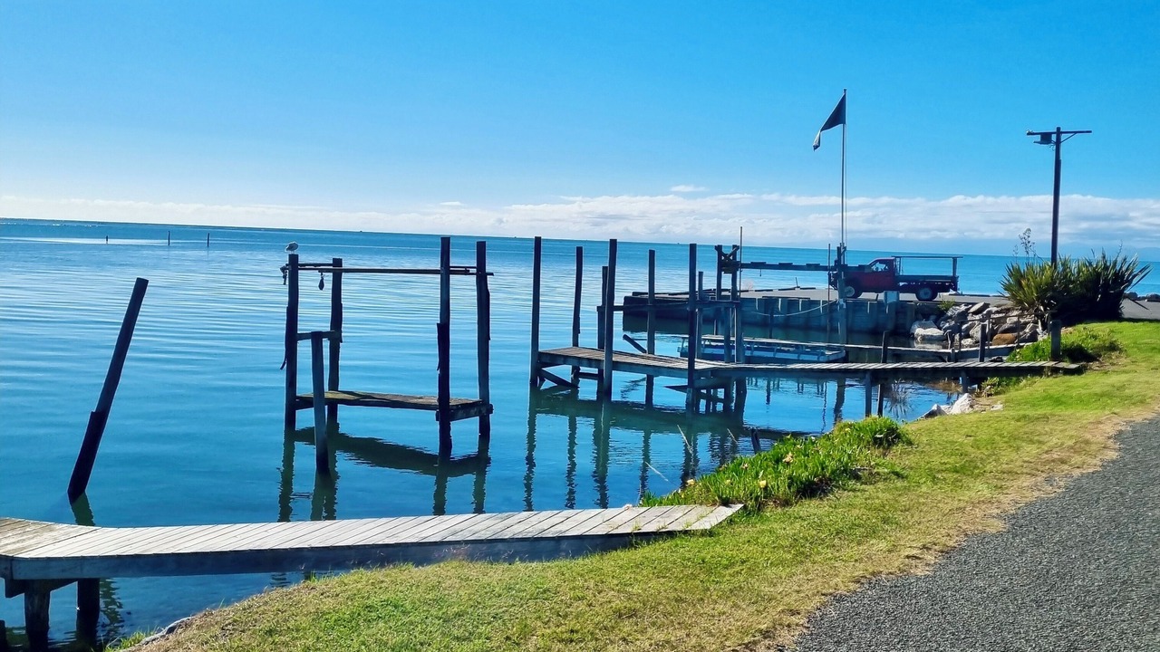 Photo of Others in Ngaio Bay