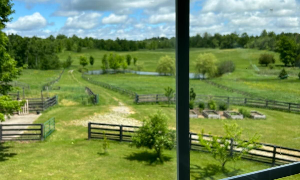 Photo of Others in Milton