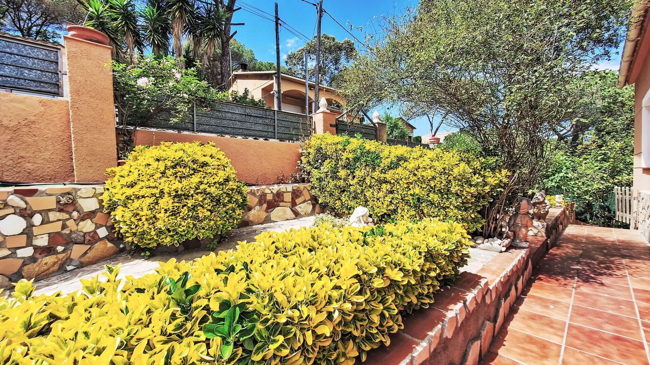 Photo of Outdoor in El Mas Mora