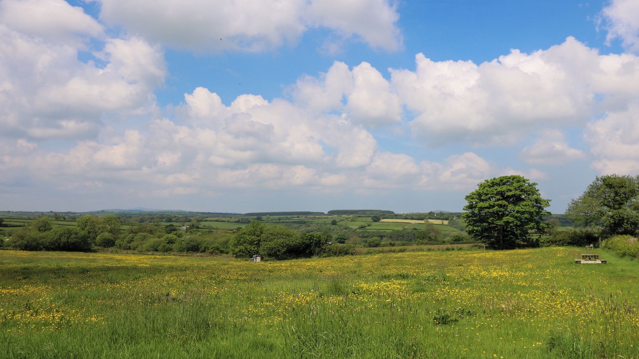 Photo of Outdoor in Carmarthen