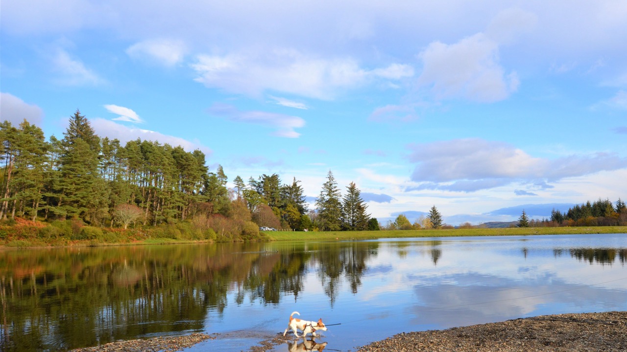 Photo of Outdoor in Kilmun