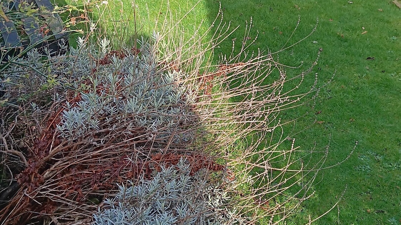 Photo of Outdoor in Rothesay