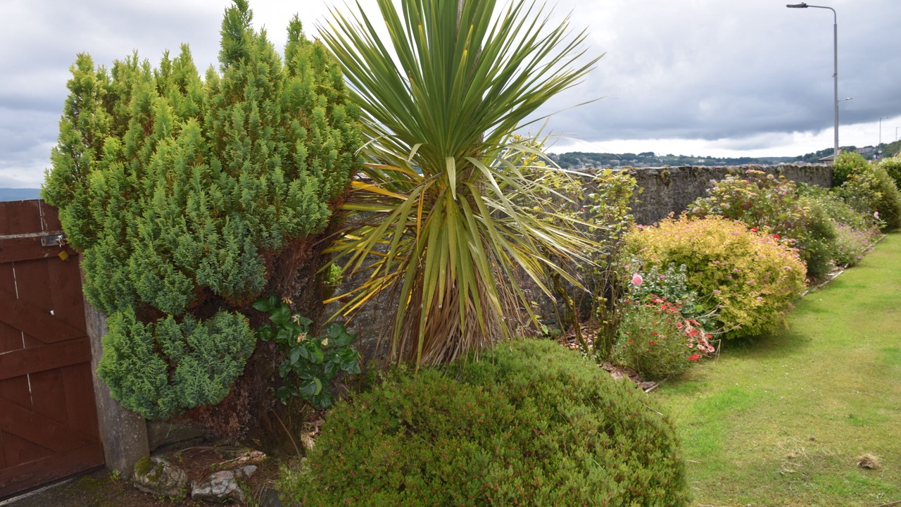 Photo of Outdoor in Rothesay
