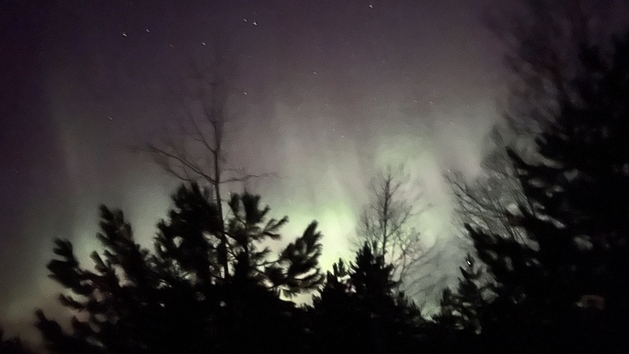 Photo of Others in Chapleau