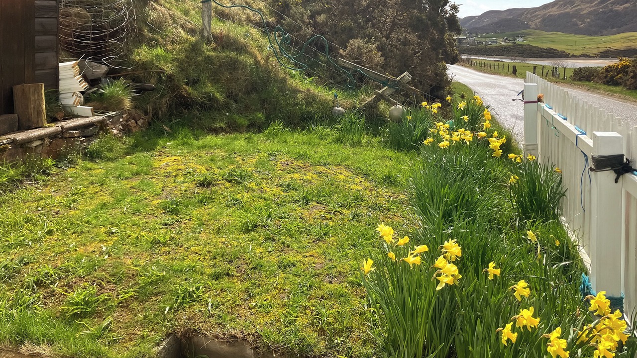 Photo of Outdoor in Thurso
