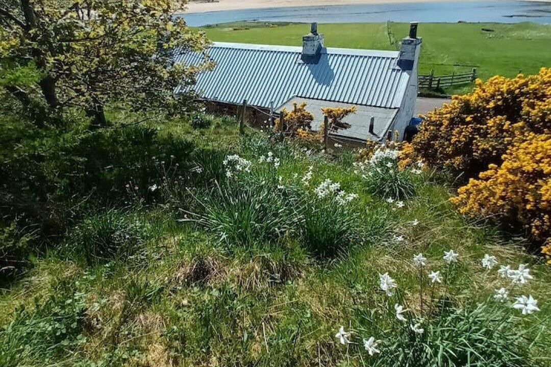 Photo of Outdoor in Thurso