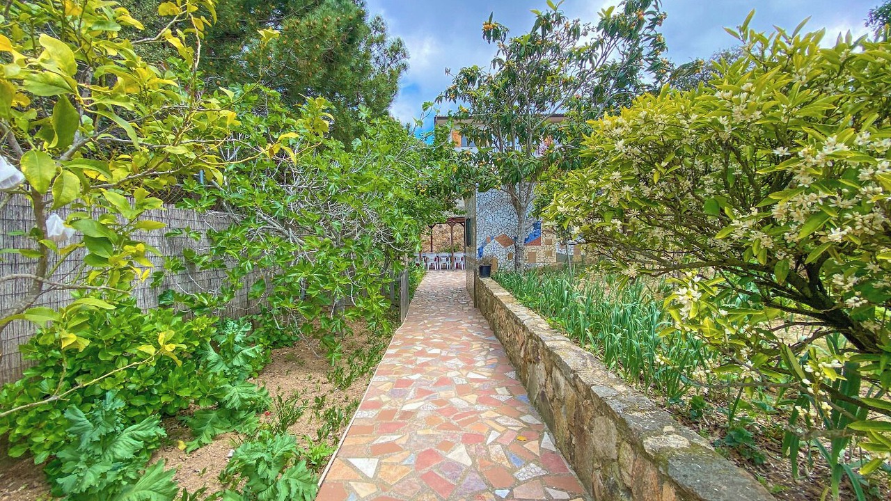 Photo of Outdoor in Lloret Blau