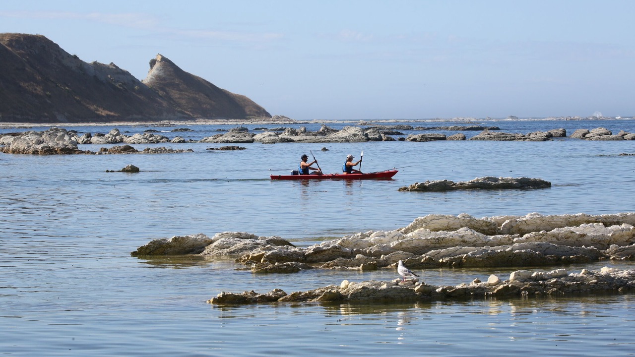Photo of Others in South Bay
