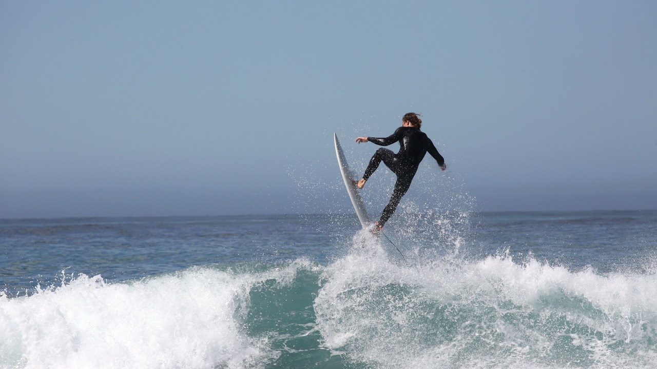 Photo of Others in South Bay