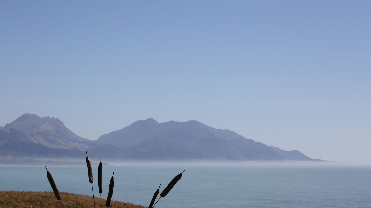 Photo of Others in South Bay