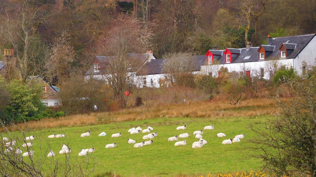 Photo of Others in Brodick