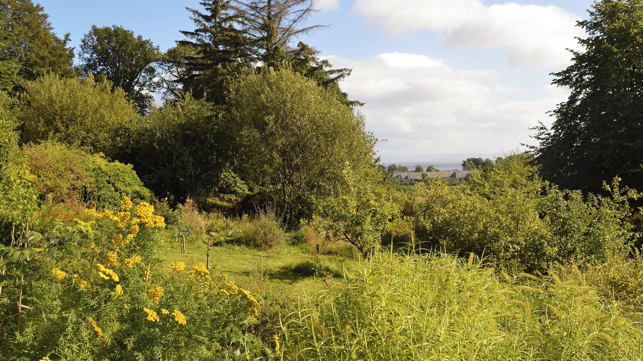 Photo of Outdoor in Brodick