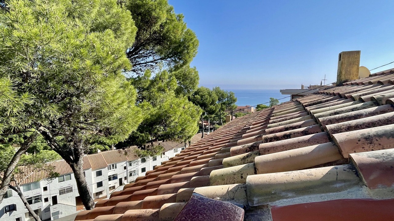 Photo of Others in Begur