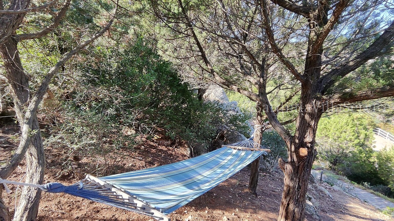 Photo of Outdoor in Porto Cervo