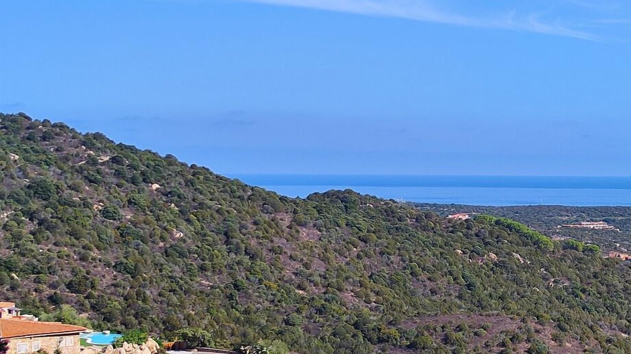 Photo of Others in Porto Cervo