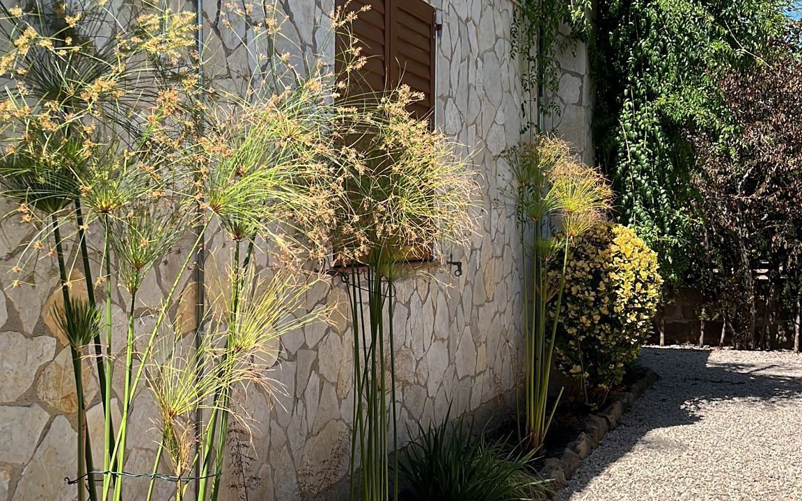 Photo of Outdoor in Calonge