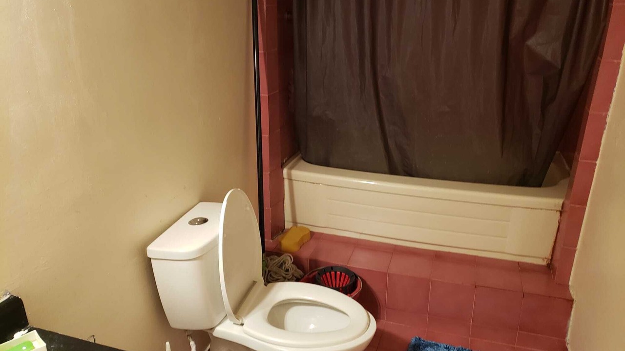 Photo of Bathroom in L'Amoreaux