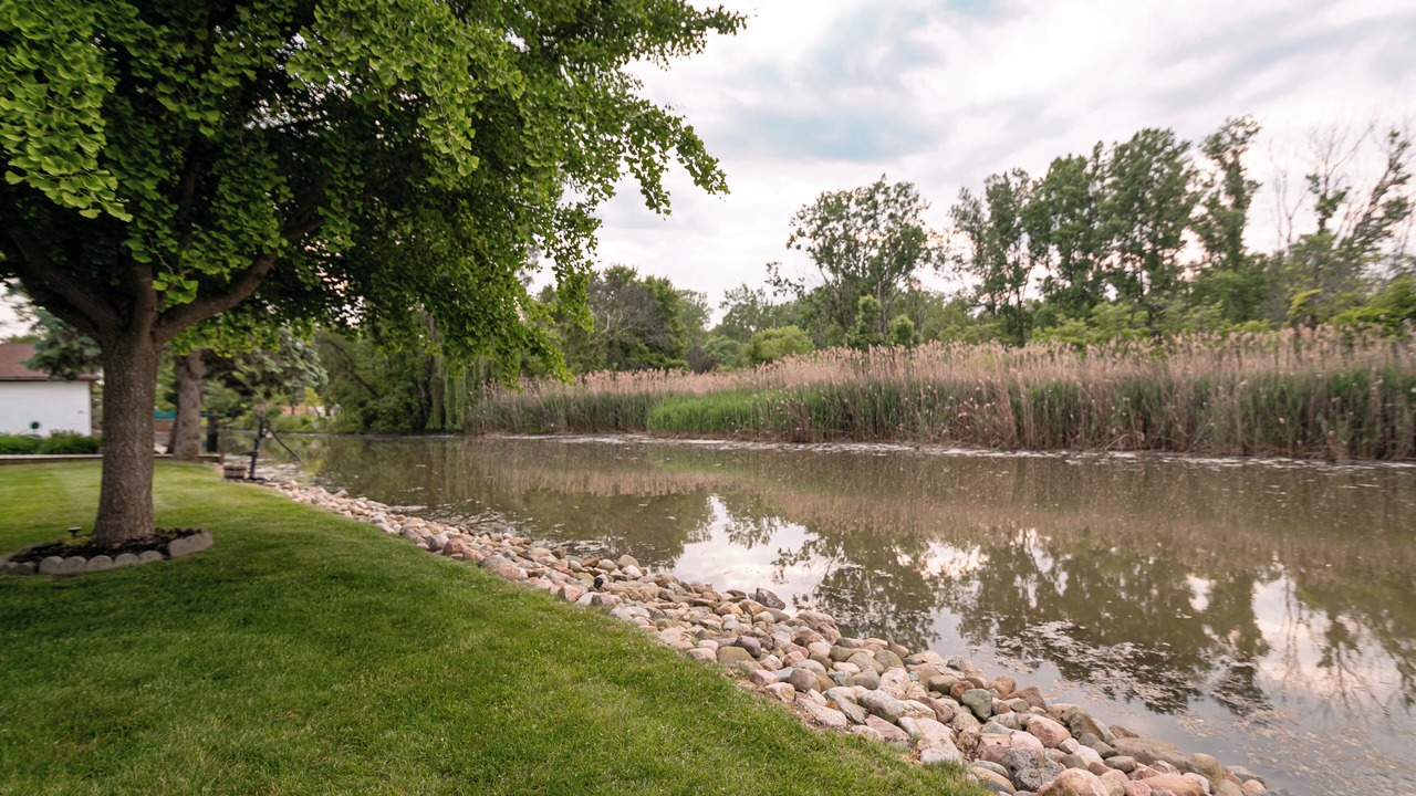 Photo of Outdoor in Kingsville