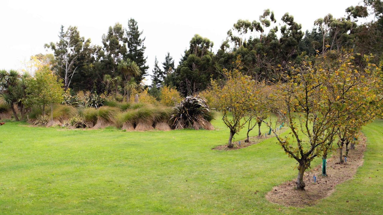 Photo of Outdoor in Waikari