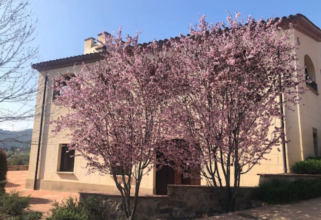 Photo of Outdoor in Caldes de Montbui