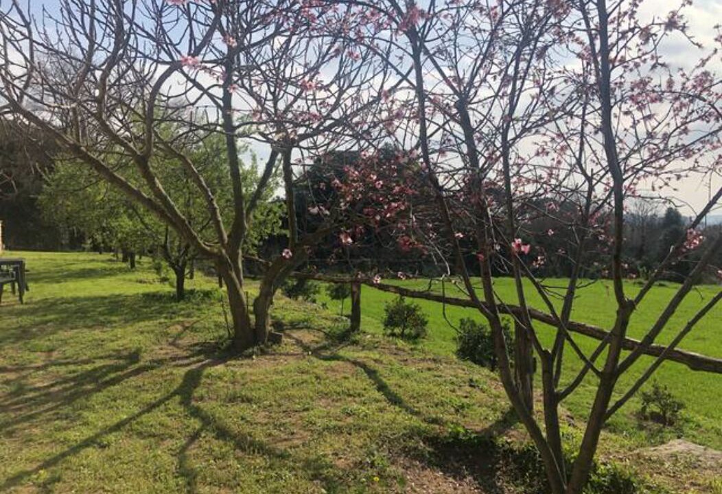 Photo of Outdoor in Caldes de Montbui