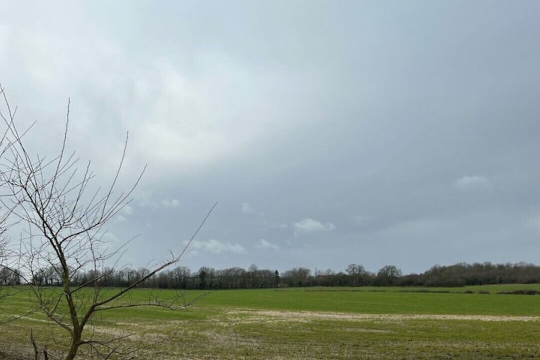 Photo of Others in Rendham