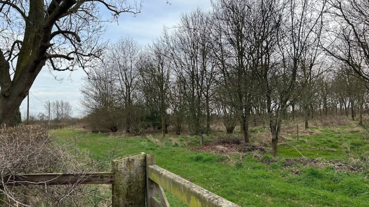 Photo of Outdoor in Rendham