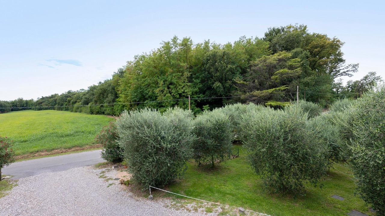 Photo of Others in Ponti sul Mincio