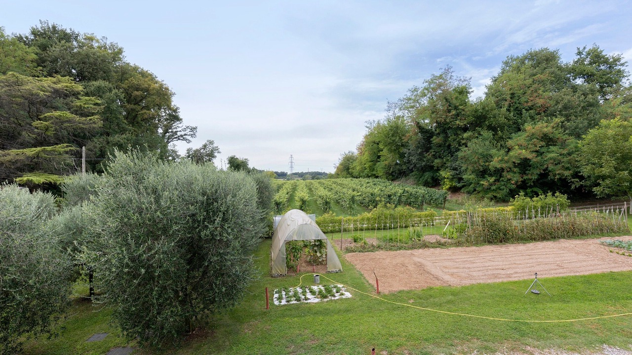Photo of Outdoor in Ponti sul Mincio