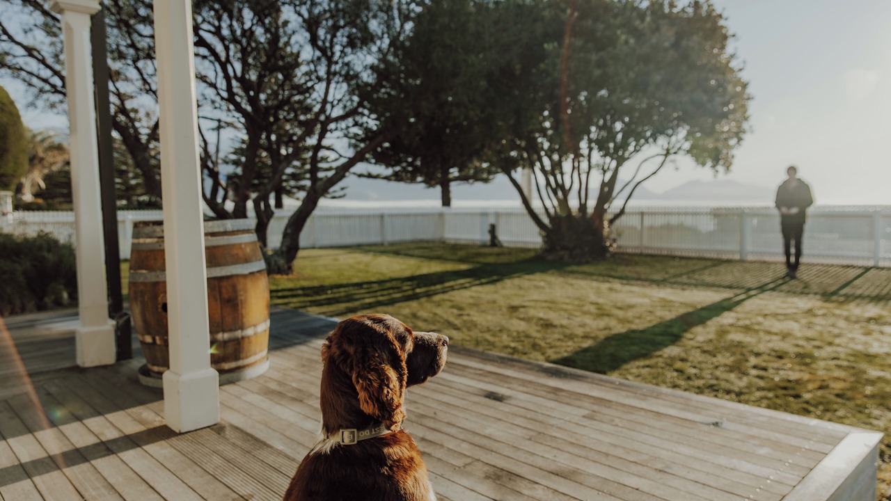 Photo of Others in Kaikoura