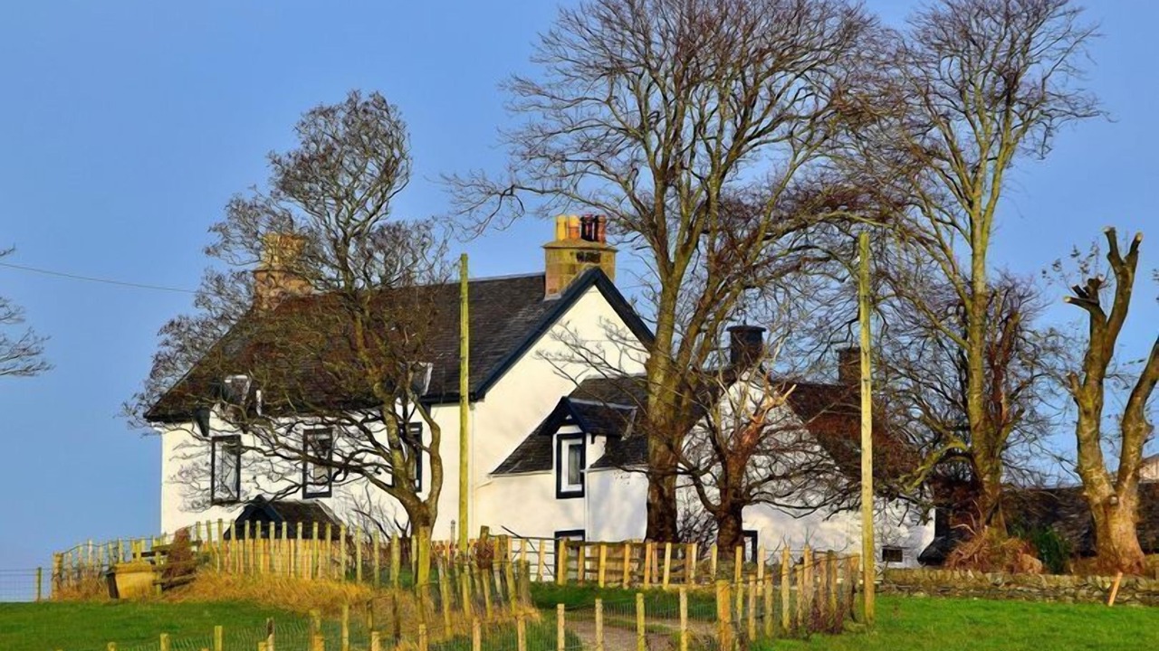 Photo of Others in Rothesay