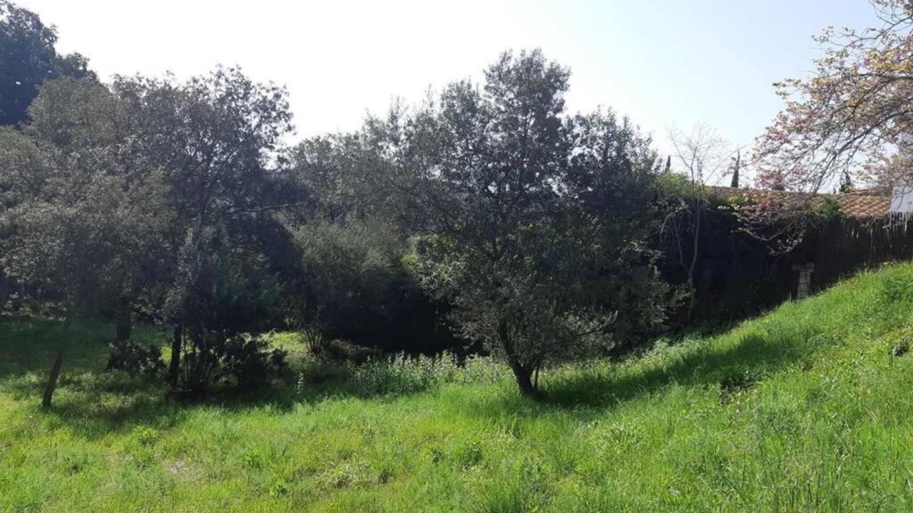 Photo of Others in Begur