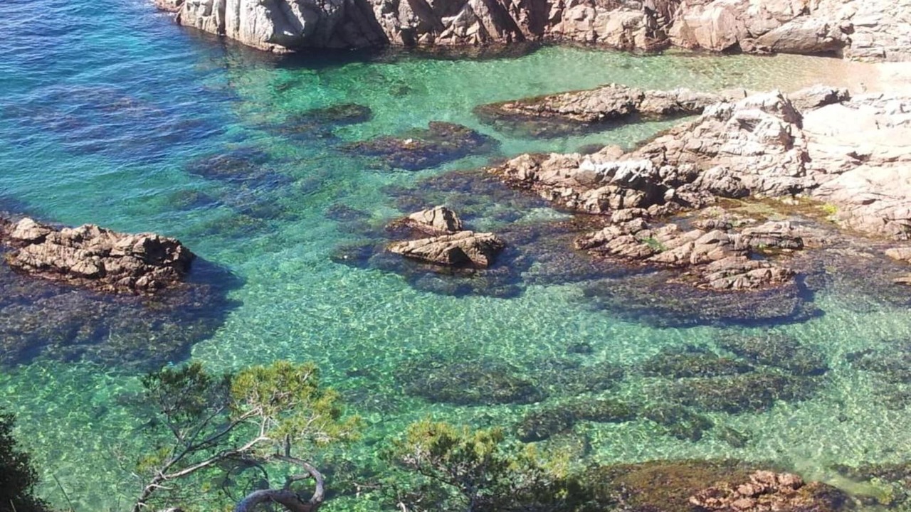 Photo of Others in Begur