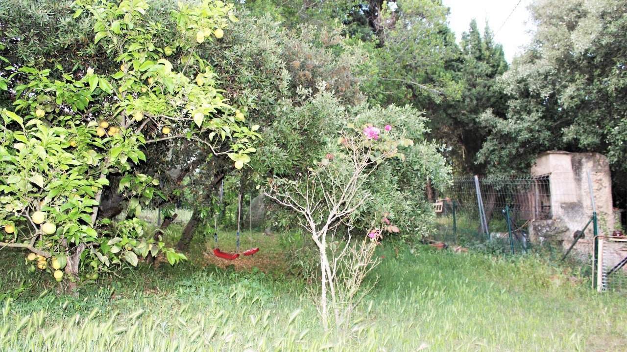 Photo of Outdoor in Palafrugell