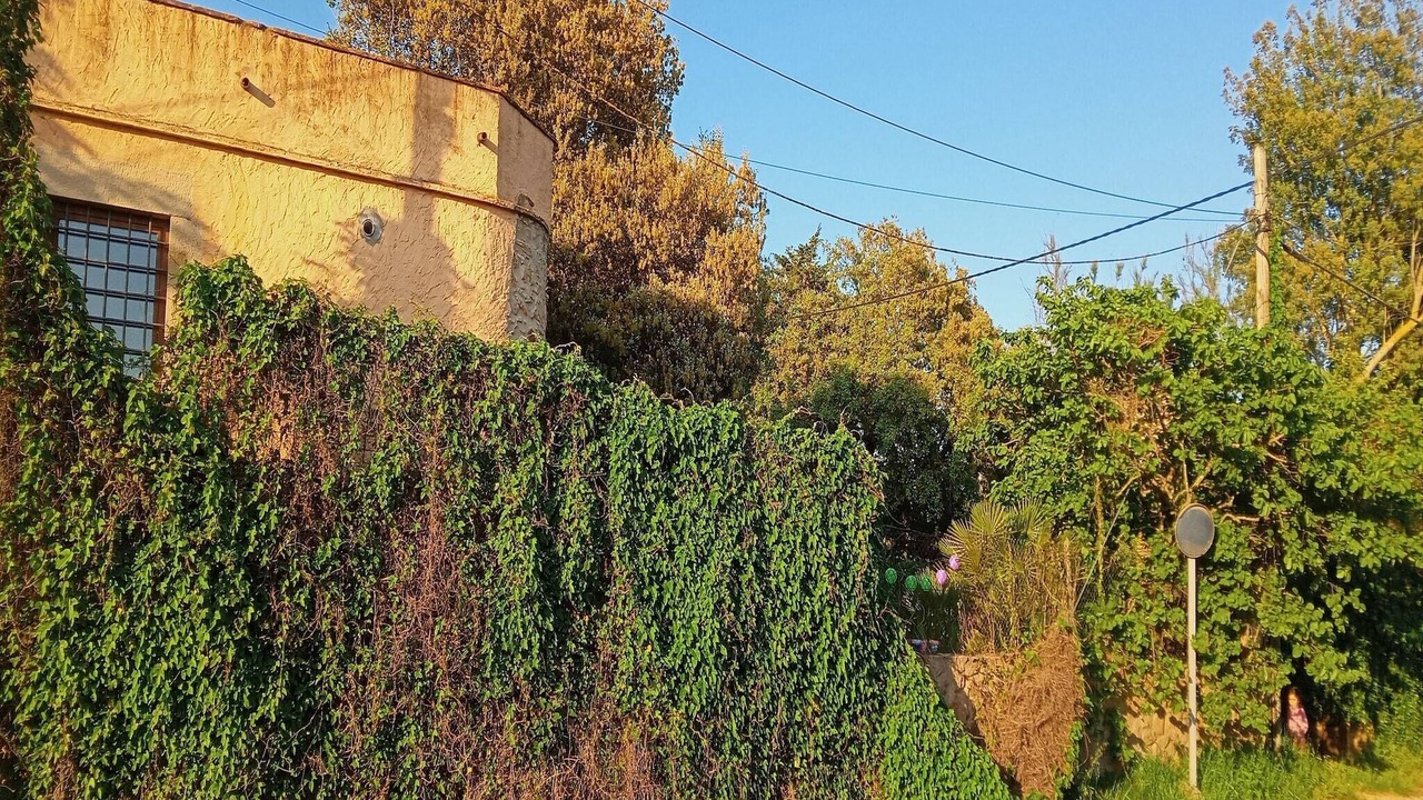 Photo of Others in Palafrugell